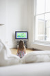 Girl 5-6 watching cartoons in television, back view