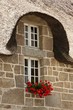 Chaumière au géranium