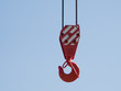 Crane hook