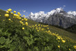 Bergfrühling, Eiger, Moench und Jungfrau