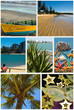 Tropical Collage Tropical Collage