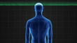 medical scanner with a male figure and visible skeleton.