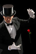 young magician performing red rose young magician performing red rose