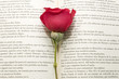 lectura 24