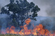Australia, Bush fire