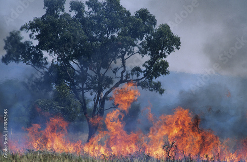 Photo: Australia, Bush fire Australia, Bush fire