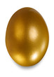 golden egg, concept of Making Money golden egg, concept of Making Money