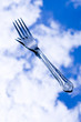 Photo: Fork Fork