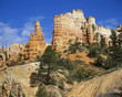 USA, Utah, Bryce Canyon
