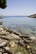 langue de mer