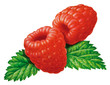 Himbeeren