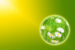 bulle nature