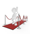 Cartoon celebrity