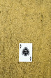 Ace