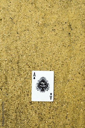 Photo: Ace Ace