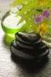 Stone therapy Stone therapy