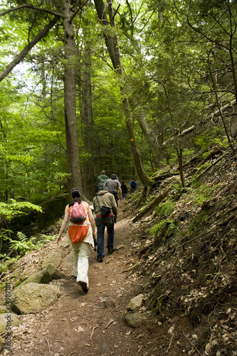 Photo: Hikers on a Trail in Forest Hikers on a Trail in Forest