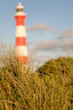 Out of Focus Lighthouse