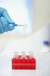 Scientist picking up test tube with tweezers in laboratory, close up of hand