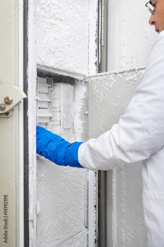 Photo: Scientist reaching into freezer in laboratory Scientist reaching into freezer in laboratory