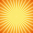 vector retro sunburst