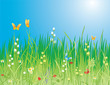 Spring Background. Flowers, butterflies & grass - Vector
