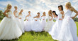 groups of bride on green grass