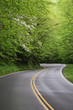 Photo : winding road