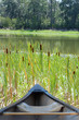 canoe  cattails