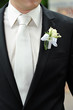 Bridegroom
