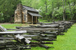 cabin on woods