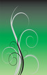 herbe