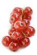 Johannisbeeren