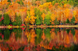 Fall forest reflections Fall forest reflections