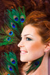 Foto: Peacock Peacock