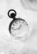 Pocket watch embedded in ice