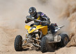 Quad 119
