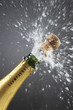 Champagne bottle popping cork, close-up