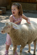 Kind und Schaf