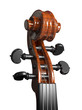 Violin scroll