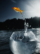 goldfish jumping out of the water goldfish jumping out of the water