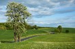 Feldberger Seenlandschaft