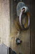 Japan, Nara, Todai-ji Temple, Door knobs of shrine, close-up