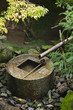 Japan, Kyoto, Ryoan-ji Temple, stone water basin