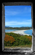 window
