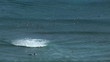 Hawaii surfers time lapse