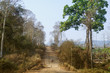 Motorcyclist on Dirt Road