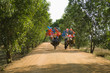 Bicycles with Festive Decorations on a Dirt Road