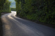 Curving Country Road Through Thick Forest