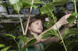 Woman Working in Greenhouse